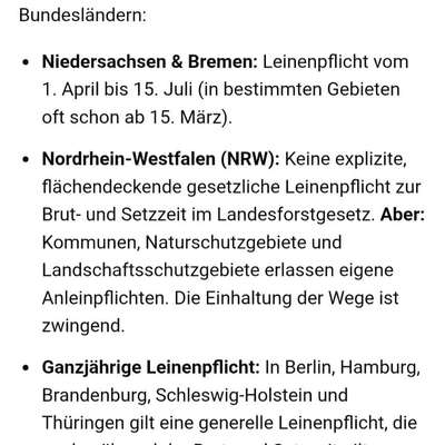 Leinenpflicht – nervige Einschränkung oder sinnvoller Schutz?-Beitrag-Bild