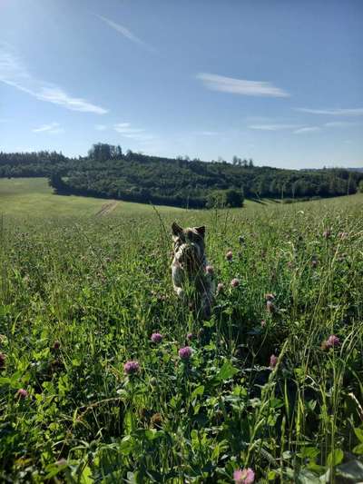 6. Collagen Challenge - Die schönsten Momente in der Natur-Beitrag-Bild