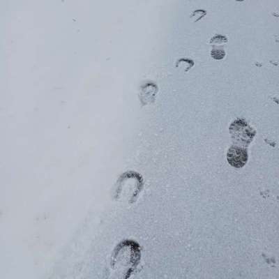 Gangbild/-analyse-Beitrag-Bild