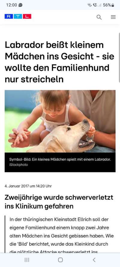 Hundeangriff in Griechenland - wie verhindern, vorbeugen?-Beitrag-Bild