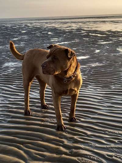 37. Collagen Challenge- Am Strand-Beitrag-Bild