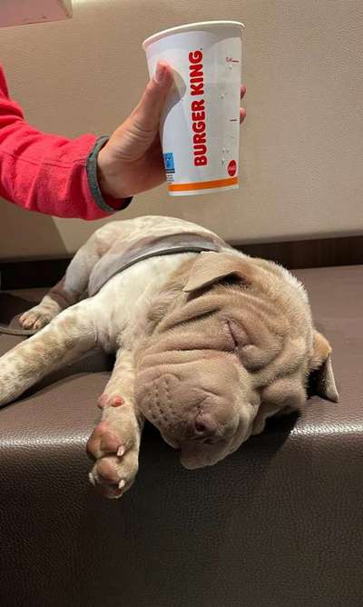 Fotochallenge 108: Starkes Team-Beitrag-Bild