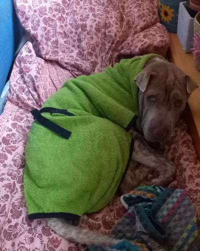 48. Collagen Challenge: Das Leben ist bunt-Beitrag-Bild