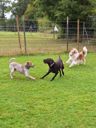 Was hat euch heute gefreut?-Beitrag-Bild