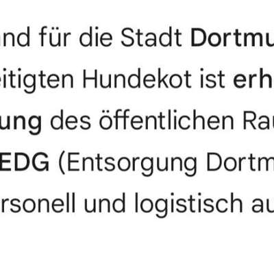 🐶💸 Hundesteuer steigt vielerorts – ist das gerechtfertigt?!-Beitrag-Bild