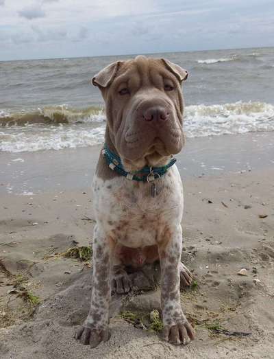 37. Collagen Challenge- Am Strand-Beitrag-Bild