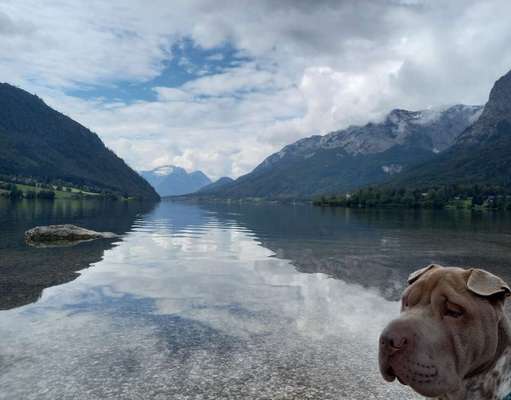 35. Handy Foto Challenge - Das nasse Element-Beitrag-Bild