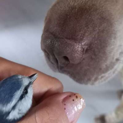 "Wege zur Freundschaft" (Ulli Reichmann)-Beitrag-Bild