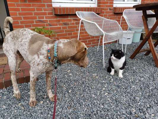 Was hat euch heute gefreut?-Beitrag-Bild