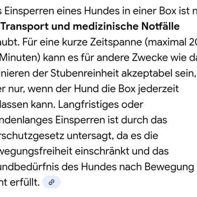 Pinkeln ins Bett-Beitrag-Bild