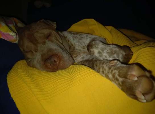 48. Collagen Challenge: Das Leben ist bunt-Beitrag-Bild