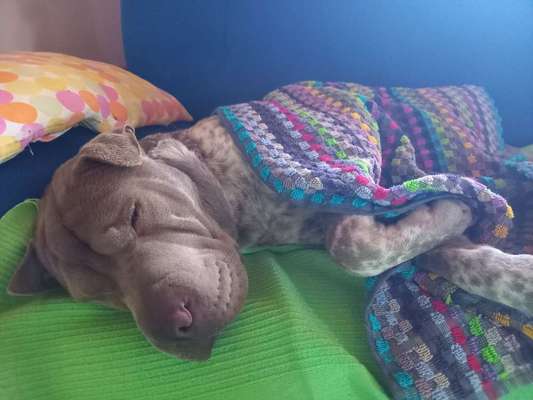 Freundschaftsanfragen-Beitrag-Bild