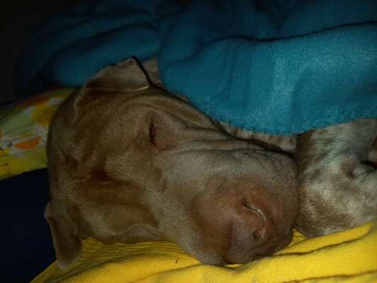 Foto Challenge Nr. 134-Beitrag-Bild