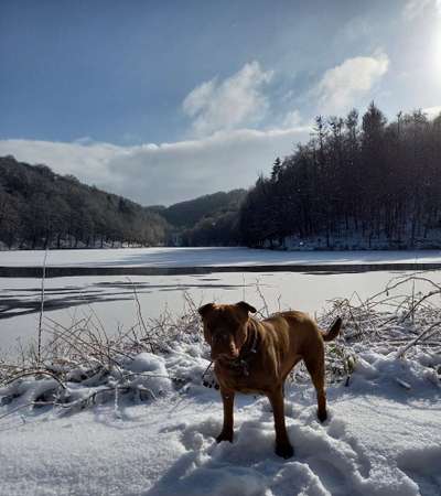 Profifoto Challenge No1 Winter, Schnee-Beitrag-Bild