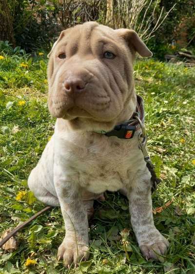 28. Handy-Fotochallenge - Damals und heute-Beitrag-Bild