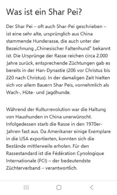 Qualzucht - Warum Aufklärung alleine nicht reicht-Beitrag-Bild