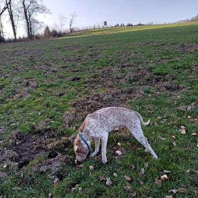 Was hat euch heute gefreut?-Beitrag-Bild