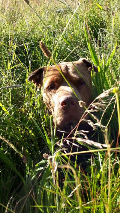 140. Foto Challenge - schattiges Plätzchen-Beitrag-Bild