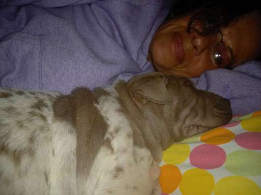 41. Handy Fotochallenge - Euer gemeinsames Hobby-Beitrag-Bild