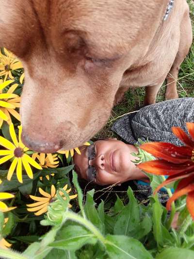 Dogorama Photo Challenge - Liebesbeweis-Beitrag-Bild