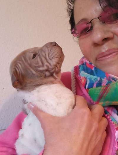 30. Farben Challenge - Pink-Beitrag-Bild