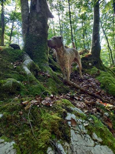 140. Foto Challenge - schattiges Plätzchen-Beitrag-Bild