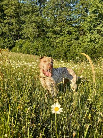 Zeigt eure schönsten Sommerbilder-Beitrag-Bild
