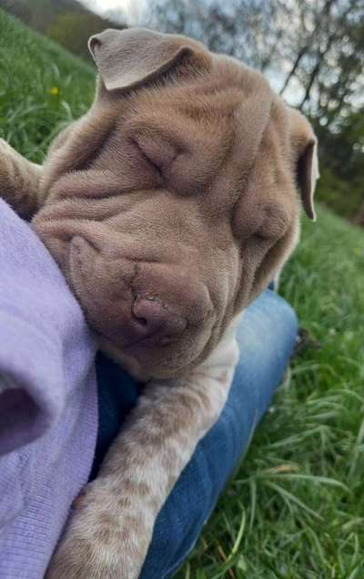 48. Collagen Challenge: Das Leben ist bunt-Beitrag-Bild