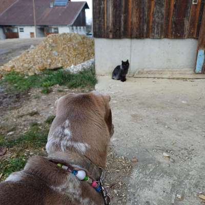 Was hat euch heute gefreut?-Beitrag-Bild