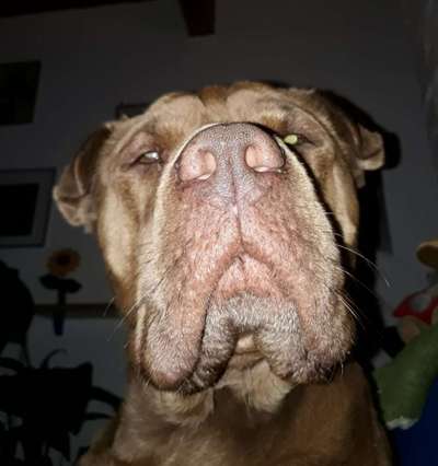 147. Foto Challenge: Bettelblick-Beitrag-Bild