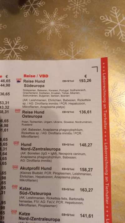 Kosten großes Blutbild + Mittelmeerkrankeheiten-Check-Beitrag-Bild