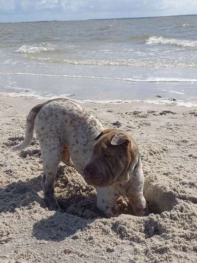 45. Collage Challenge - Lieblingsurlaubs/ Ausflugsziele-Beitrag-Bild