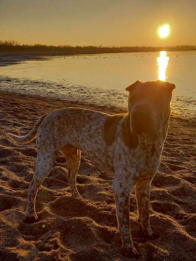 37. Collagen Challenge- Am Strand-Beitrag-Bild