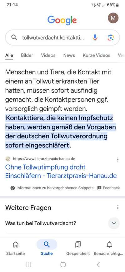 Impfen ja oder nein?-Beitrag-Bild