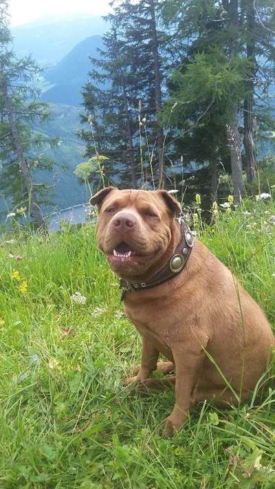 Fotochallenge Nr.100 Urlaubsimpressionen-Beitrag-Bild