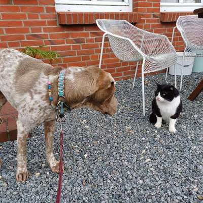 "Wege zur Freundschaft" (Ulli Reichmann)-Beitrag-Bild