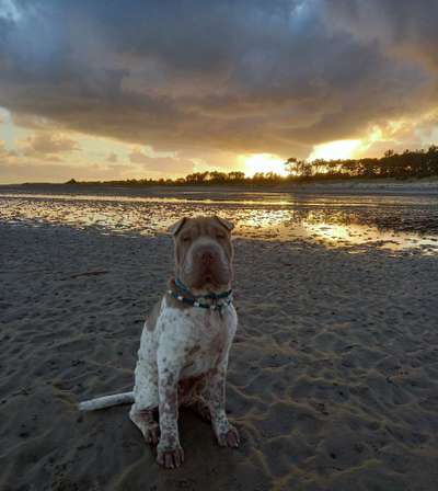 Fotowettbewerb zum Thema "Sonne"-Beitrag-Bild
