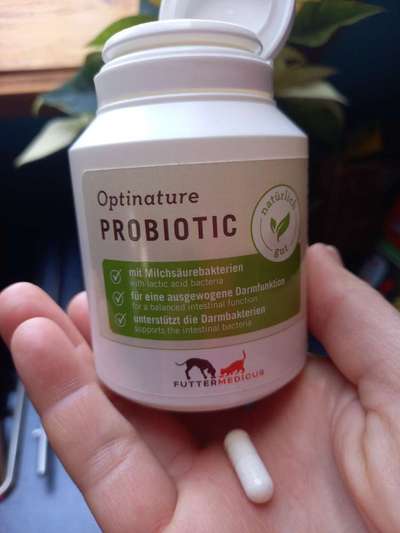 Darmaufbau nach Giardien Befall-Beitrag-Bild