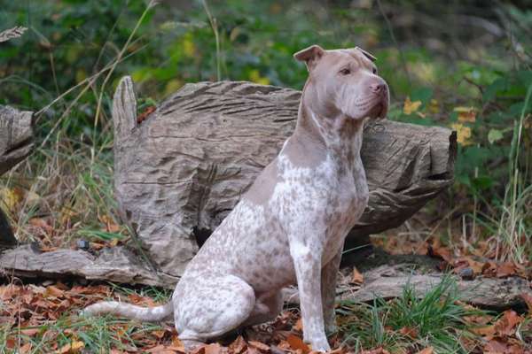Warum muss es denn unbedingt der sein?-Beitrag-Bild