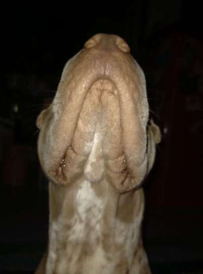 53. Collage Challenge - Verschiedene Blickwinkel-Beitrag-Bild