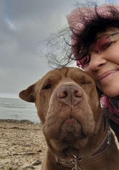 11. Collagen-Challenge
Dein*e Hund*e in verschiedenen Lebensphasen-Beitrag-Bild