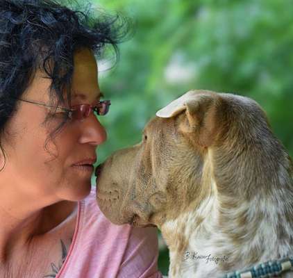 Fotowettbewerb "Liebeserklärung an deinen Hund!"-Beitrag-Bild