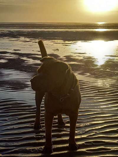 Sonnenaufgänge oder - untergänge-Beitrag-Bild