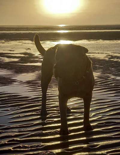 Theos Fotochallange Nummer 4-Beitrag-Bild