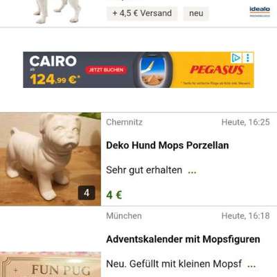 Qualzucht - Warum Aufklärung alleine nicht reicht-Beitrag-Bild