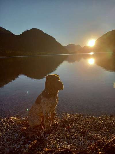 Sonnenaufgänge oder - untergänge-Beitrag-Bild