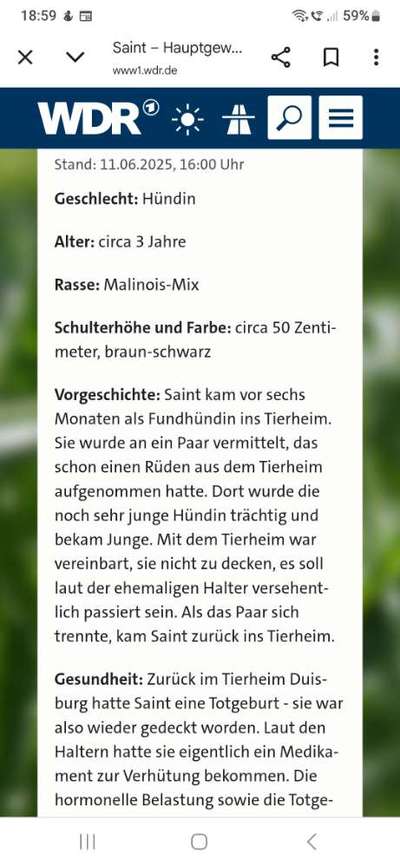 Was hat euch heute genervt?-Beitrag-Bild