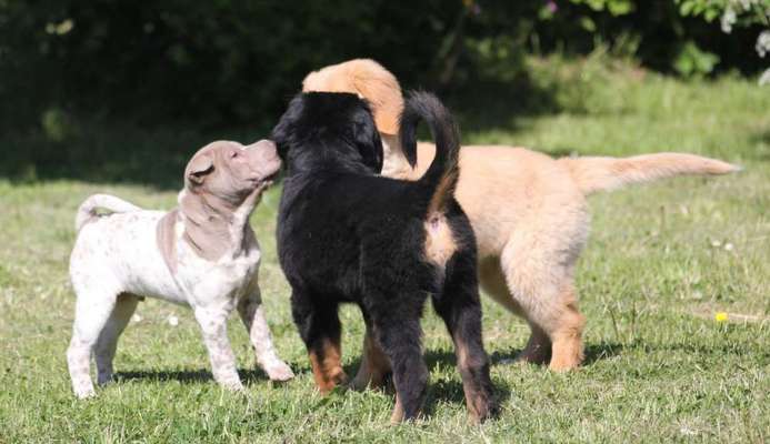 Handy-Foto-Challange Nr. 8-Beitrag-Bild