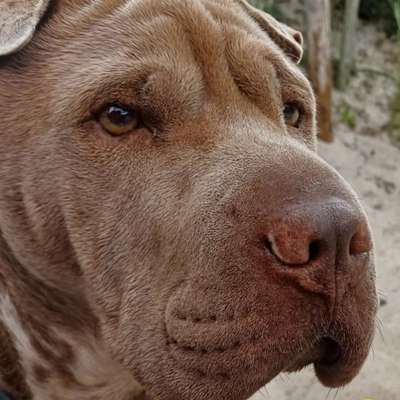 Kahle Stelle an Nase-Beitrag-Bild