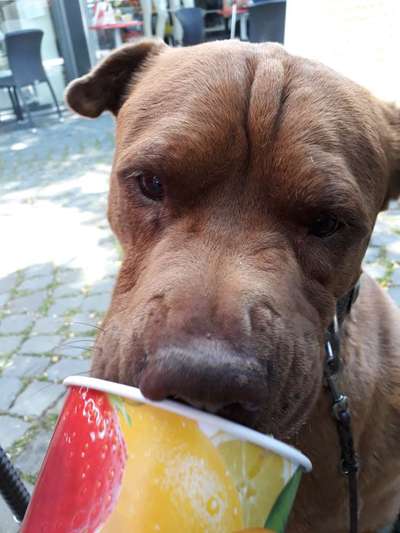 Eis essen-Beitrag-Bild